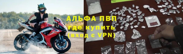 Альфа ПВП Гусев